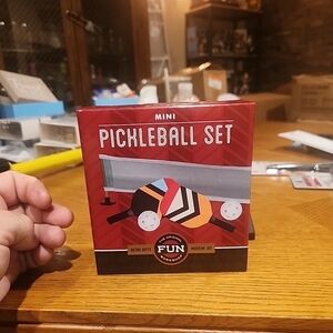 Mini Pickleball Set